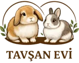Tavşan Evi